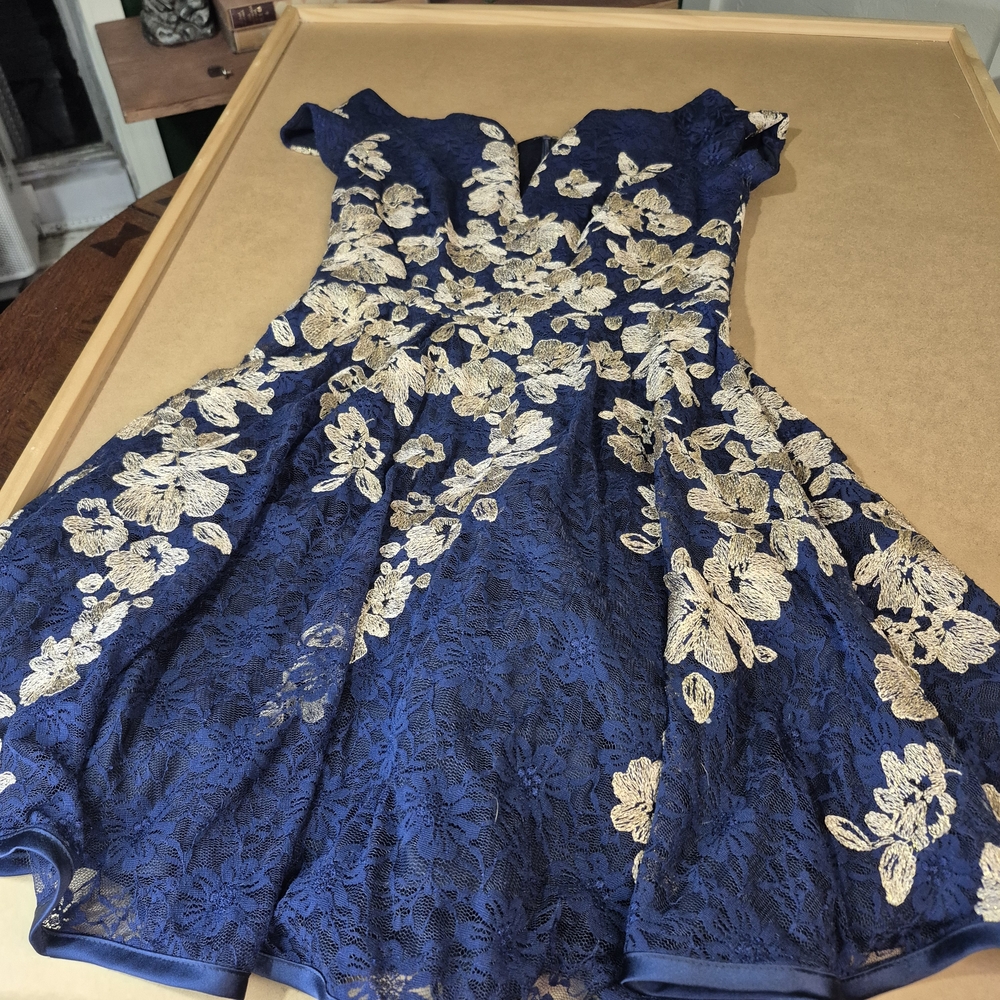 Elegant Blue and Gold Floral Lace Dress